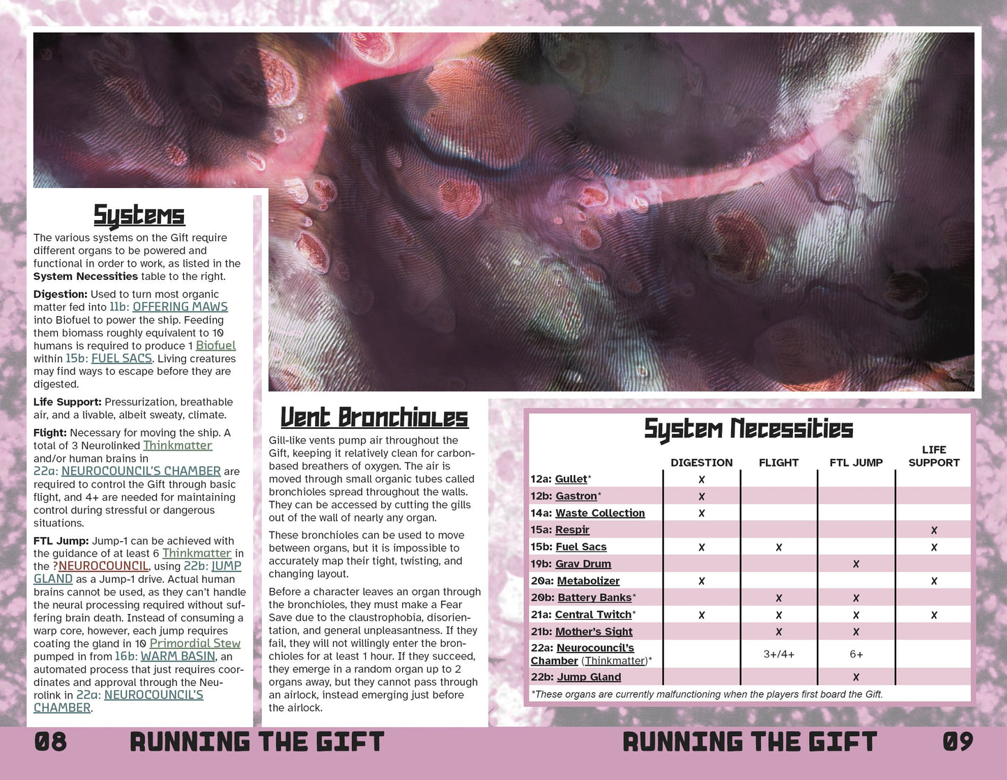The Stone Flesh Gift